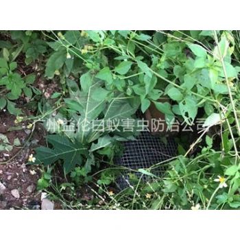 從化上門(mén)驅(qū)蛇防蛇
